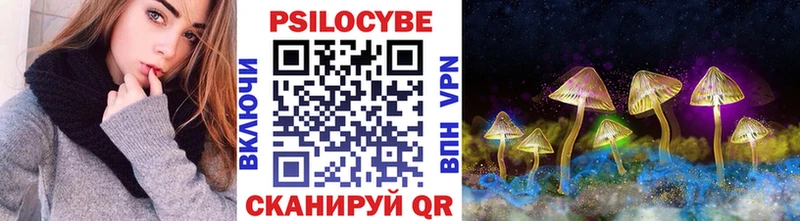 закладка Прокопьевск Псилоцибиновые грибы Cubensis