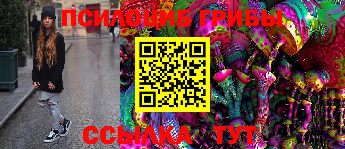 Галлюциногенные грибы MAGIC MUSHROOMS  цена   Галлюциногенные грибы Psilocybe  Прокопьевск 