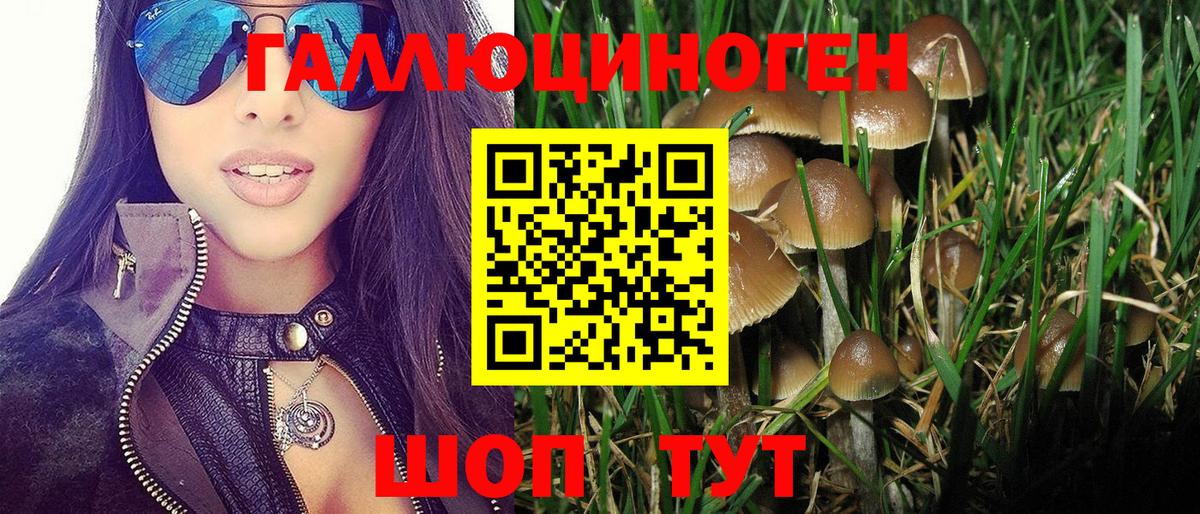 Псилоцибиновые грибы прущие грибы Прокопьевск